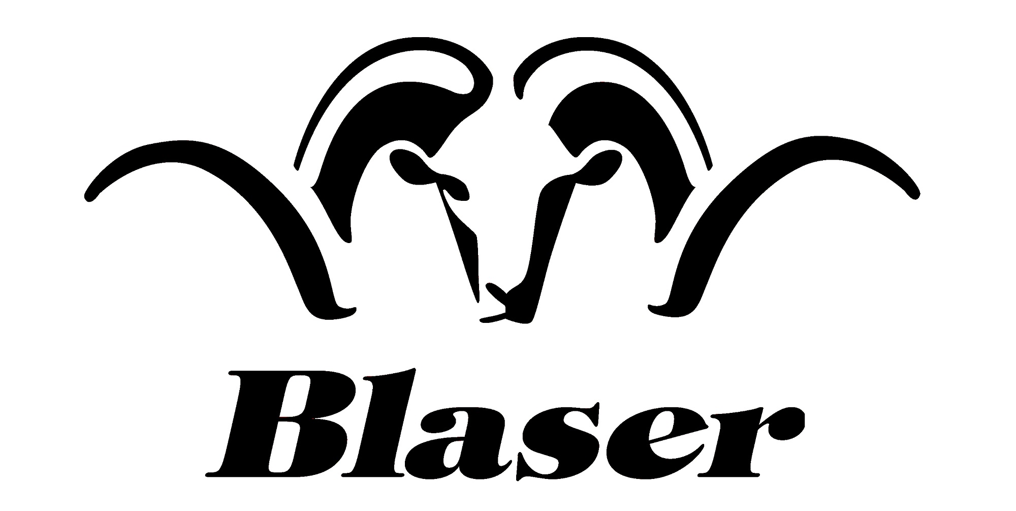 Blaser Accessories  (1)