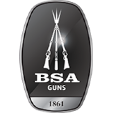 BSA (1)
