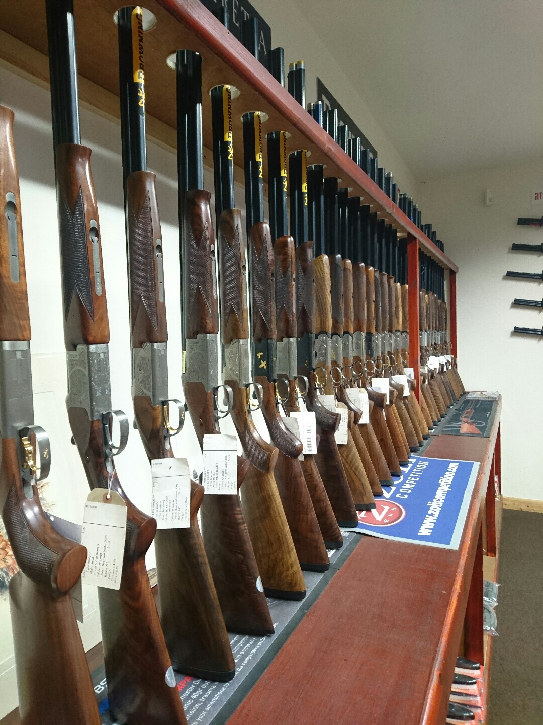 Shotguns  (351)