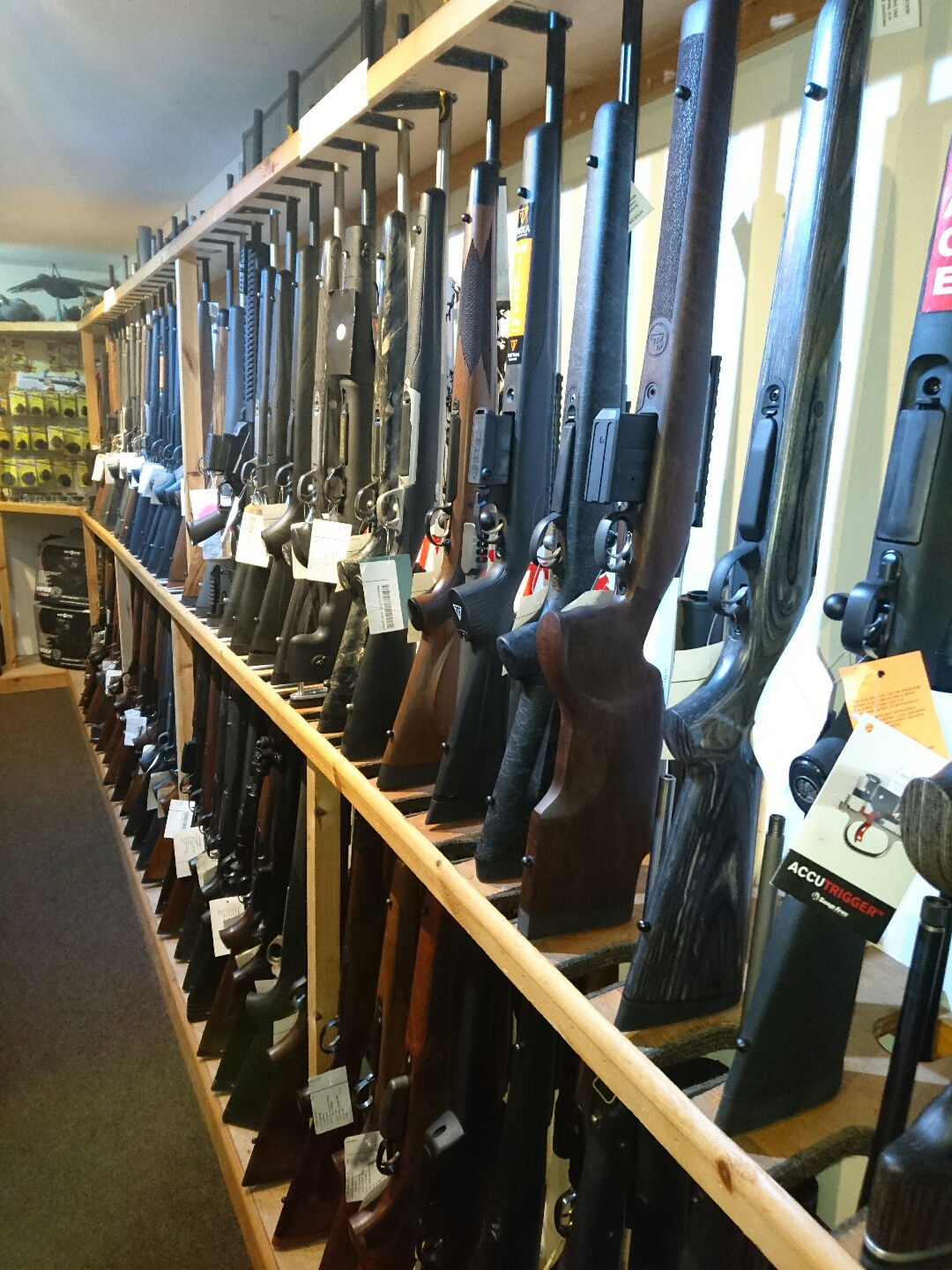 Rifles (217)
